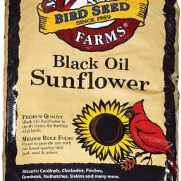 Black Oil Sunflower Birdseed Special