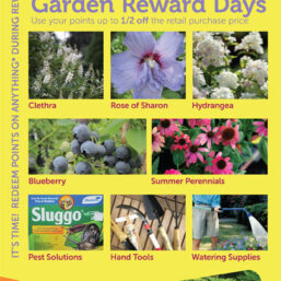Next Garden Reward Days