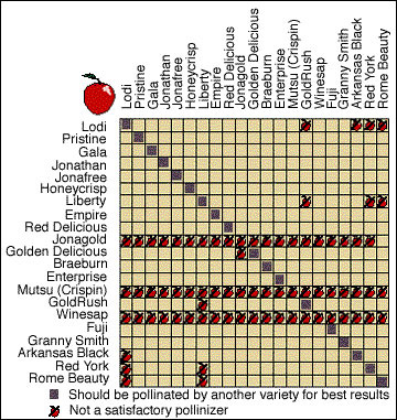 Apple Tree Pollinizer Chart