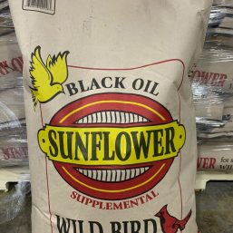 Black Oil Sunflower Birdseed Special